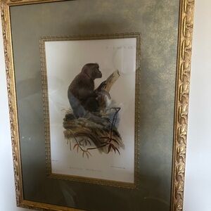 VINTAGE Framed Monkey Illustration with Gold Frame